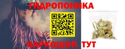 стаф Кимры