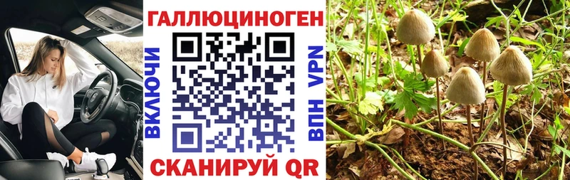 Галлюциногенные грибы мухоморы что такое Зерноград