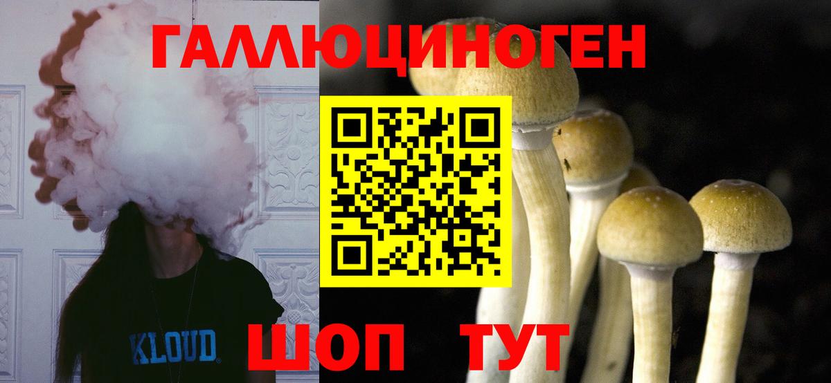 Зерноград  Псилоцибиновые грибы ЛСД  Вход с VPN  Псилоцибиновые грибы прущие грибы 